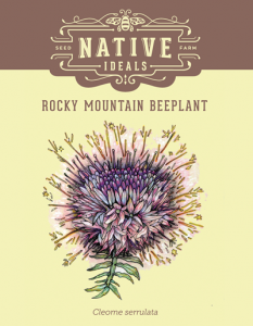 Rocky_Mountain_Beeplant